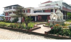 नार्कको कार्यकारी निर्देशकमा डा. कृष्ण तिमिल्सिना नियुक्त