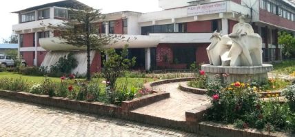 नार्कको कार्यकारी निर्देशकमा डा. कृष्ण तिमिल्सिना नियुक्त