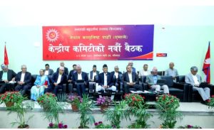 पूर्वराष्ट्रपति भण्डारीलाई राजनीतिबाट अलग राख्ने एमालेको निर्णय