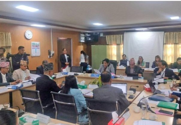 नेपालमा ६० हजार एनजीओ, २५० आईएनजीओ दर्ता; सक्रिय भने १० हजार मात्रै